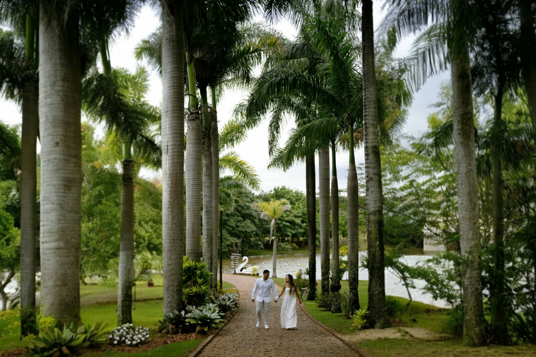 Pedro e Ana caminhando entre as palmeiras