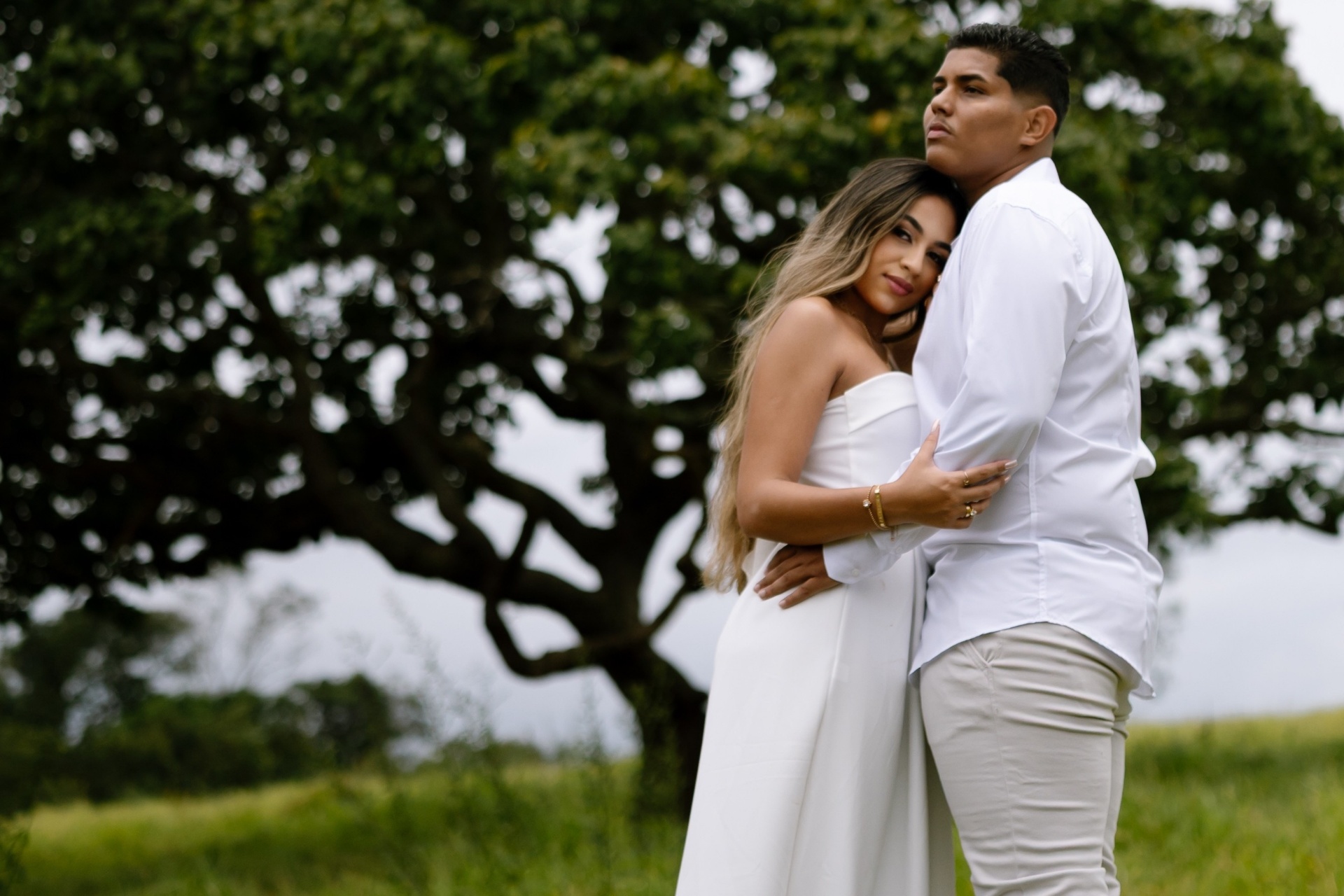 Pedro e Ana abraçados sob a árvore